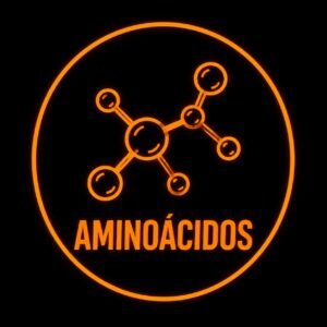 Aminoácidos